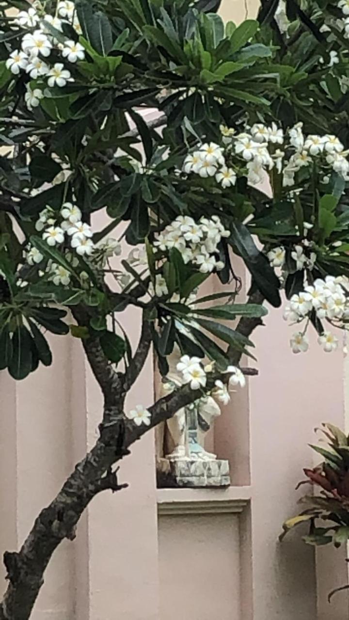 Jepun Villa Sanur Ντενπασάρ Εξωτερικό φωτογραφία